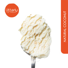 Load image into Gallery viewer, Natural Coconut Ice Cream (400ml Tub)
