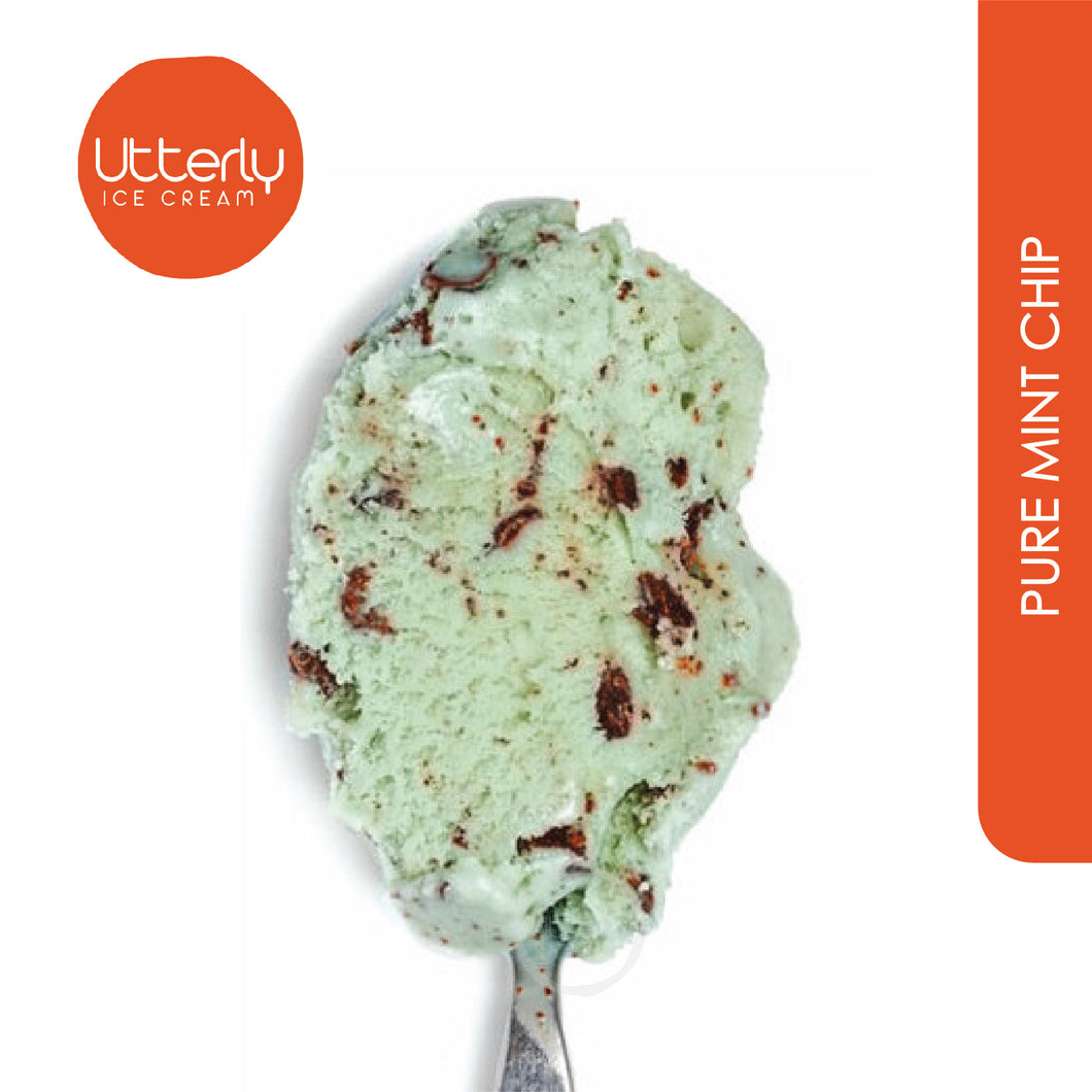 Pure Mint Chip Ice Cream (400ml Tub)