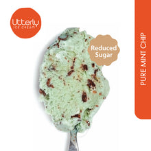 Load image into Gallery viewer, (Reduced Sugar) Pure Mint Chip Ice Cream (400ml Tub)
